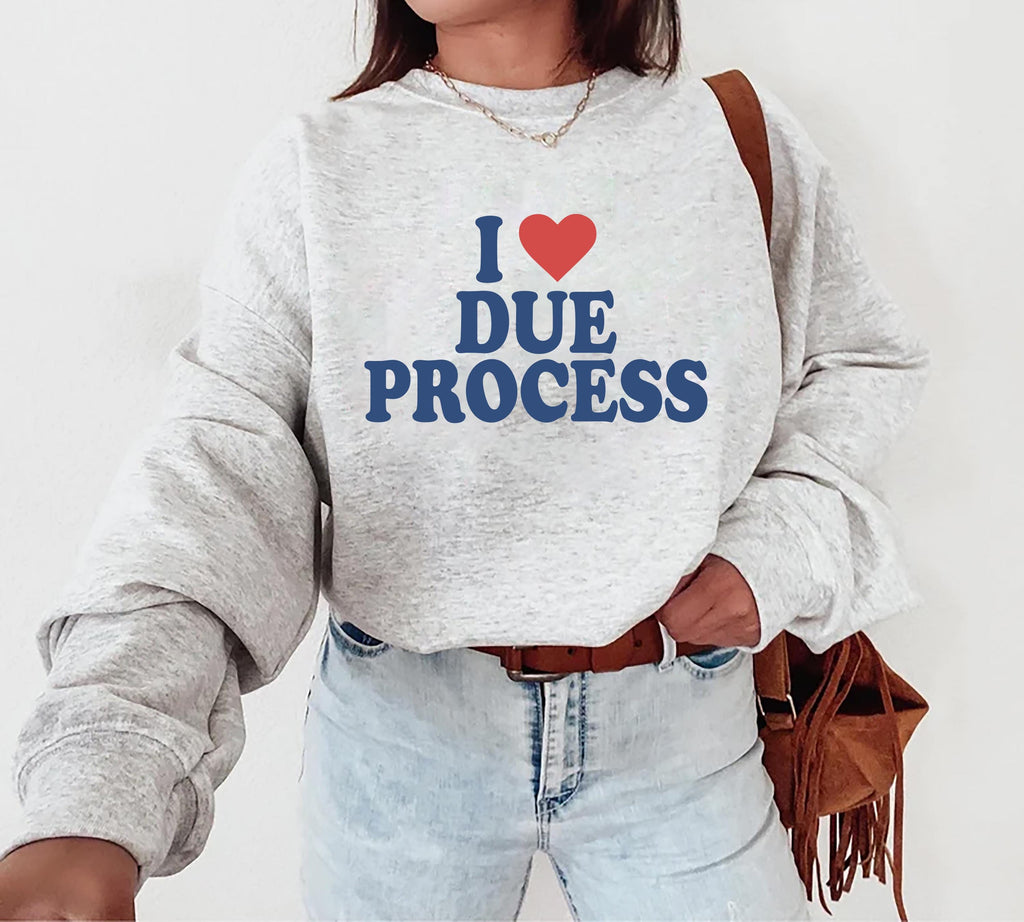 I Love Due Process Hoodie