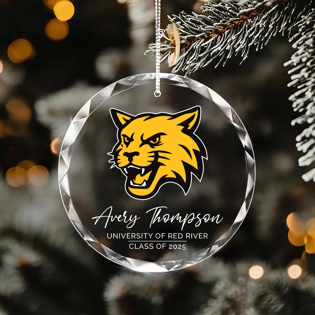 Custom University Logo Crystal Ornament, College Graduation Gift for Her, Personalized Class of 2025 Keepsake, School Grad Glass Ornament