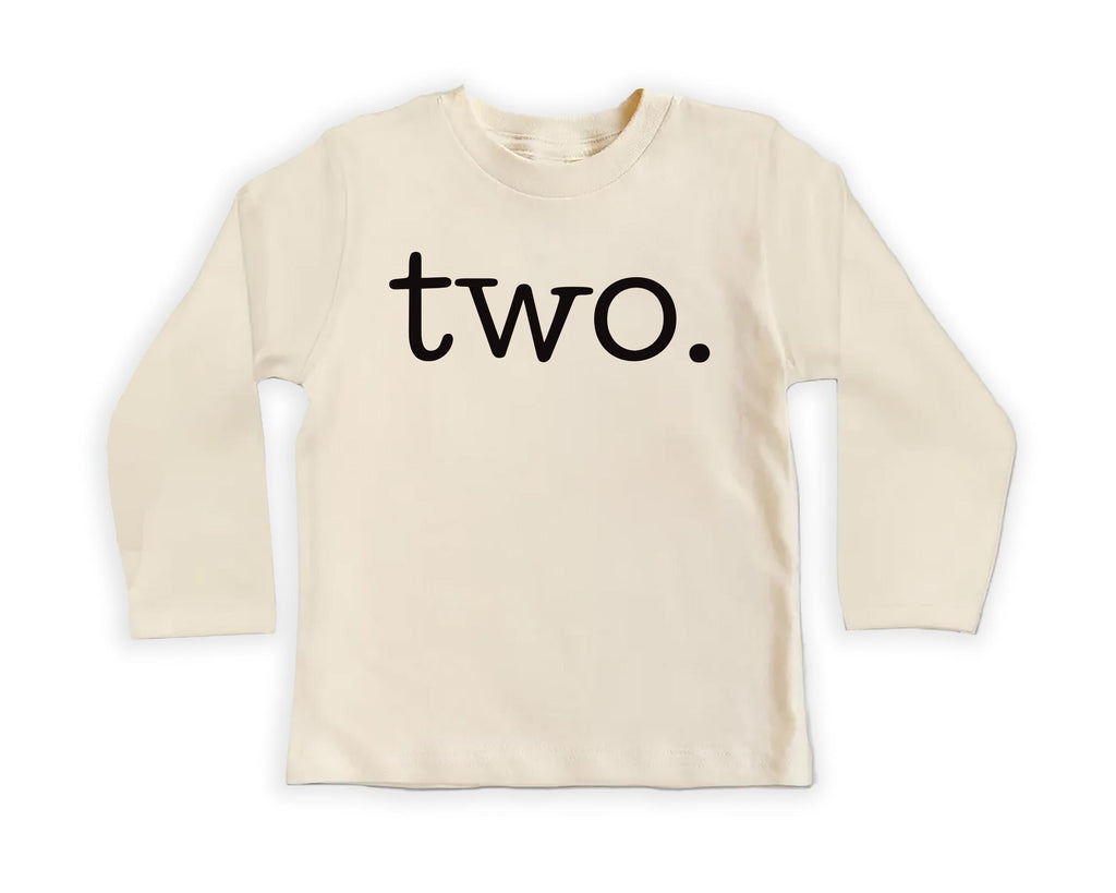 Second Birthday Onesie Baby Bodysuit, Baby Shirt, Toddler Sweatshirt, Vintage Two Year Old Birthday Outfit, Cute 2nd Birthday Girl Gift Idea
