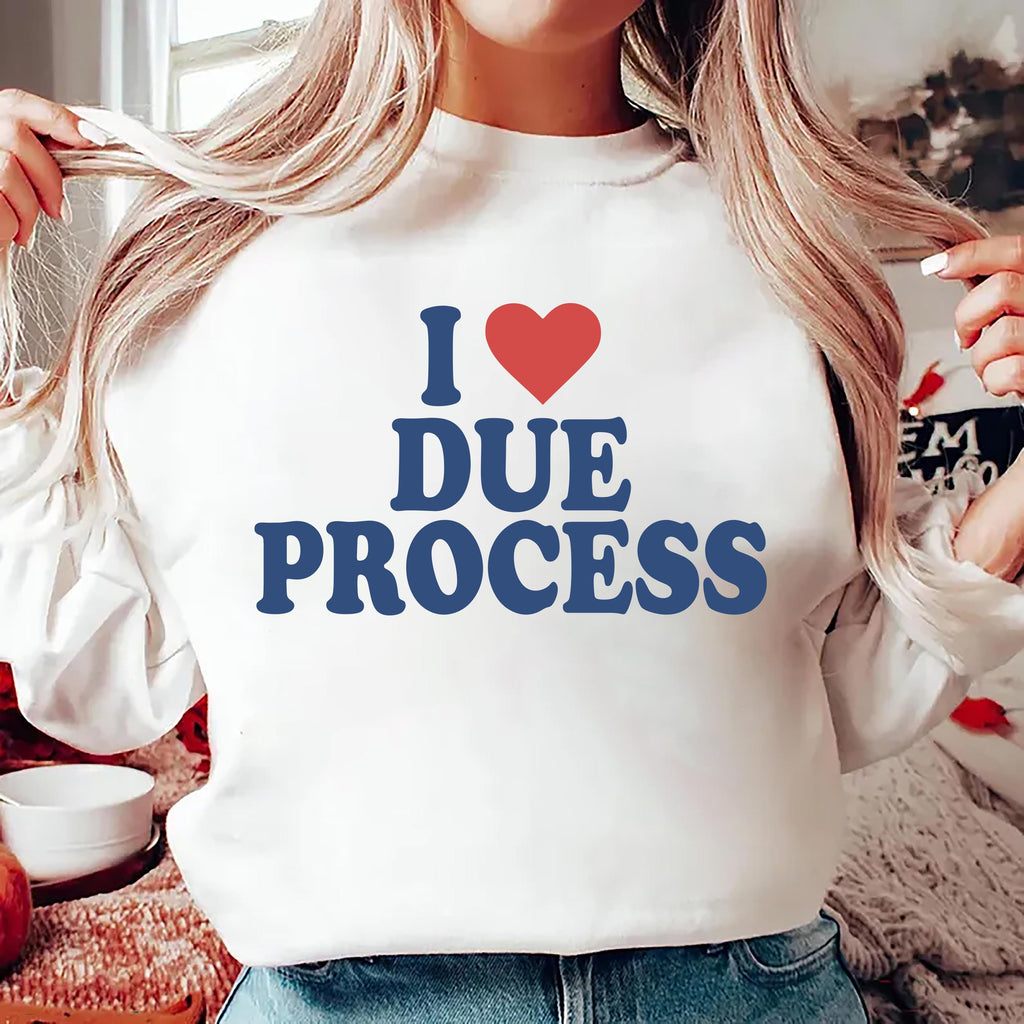I Love Due Process Hoodie