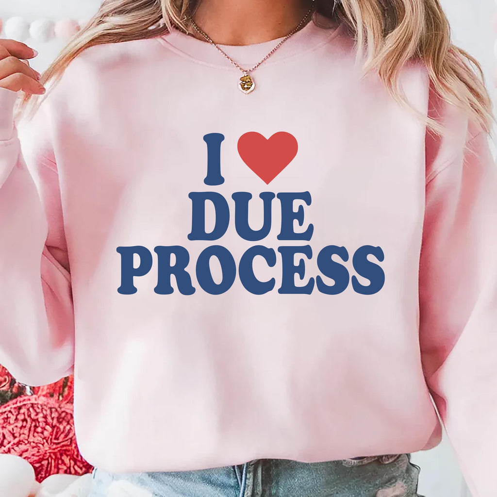 I Love Due Process Hoodie