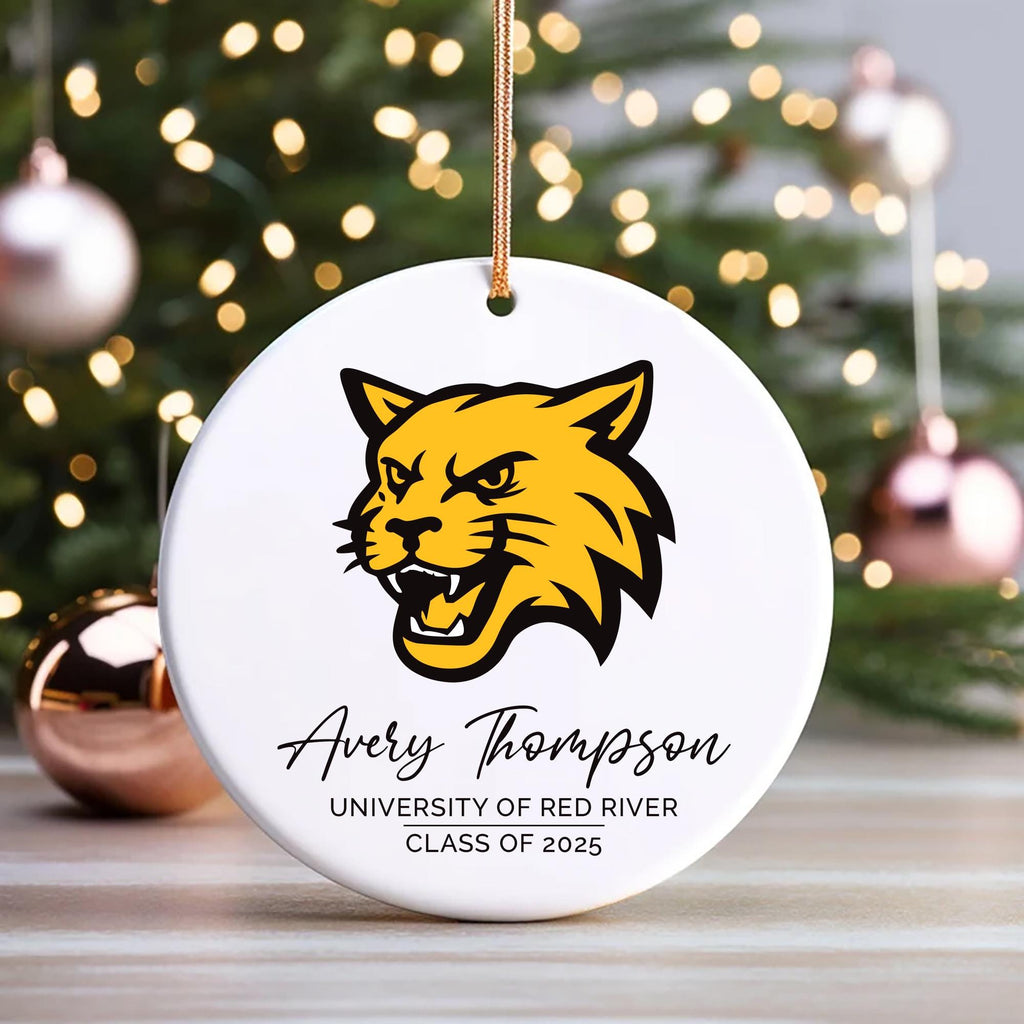Custom University Logo Ceramic Ornament, College Graduation Keepsake Gift for Her, Class of 2025 Ornament, Personalized School Grad Decor