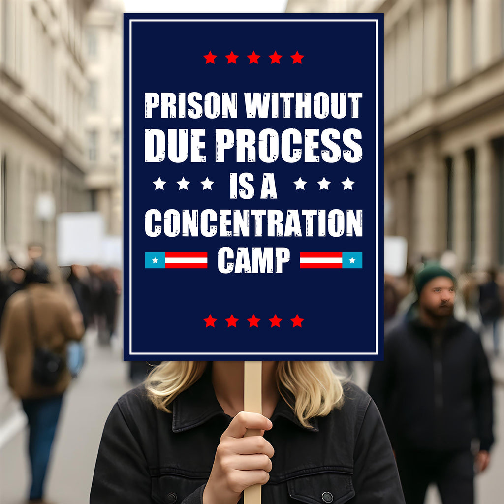 Due Process Resist No Kings Protest Sign, Anti-Trump Resistance, Political Activist Poster