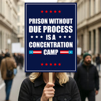 Due Process Resist No Kings Protest Sign, Anti-Trump Resistance, Political Activist Poster