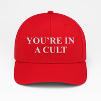 You’re in a CULT Embroidered Hat, Gift For Anti MAGA, Anti-Trump Hat, FDT, No King