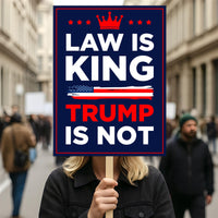 No Kings In America Protest Sign, Anti-Trump Resistance, Political Activist Poster