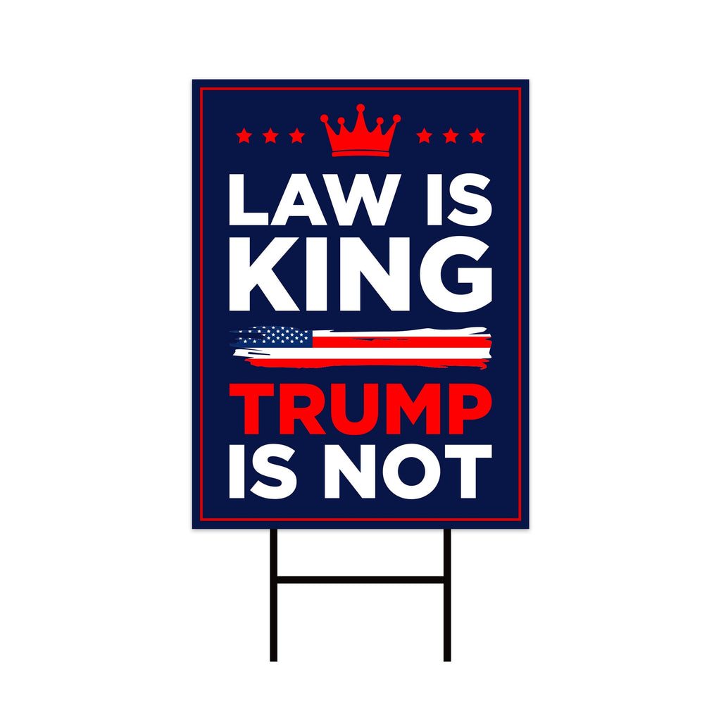No Kings In America Yard Sign - Resist Hate Lawn Sign, Anti-Trump Sign, Resist Racism
