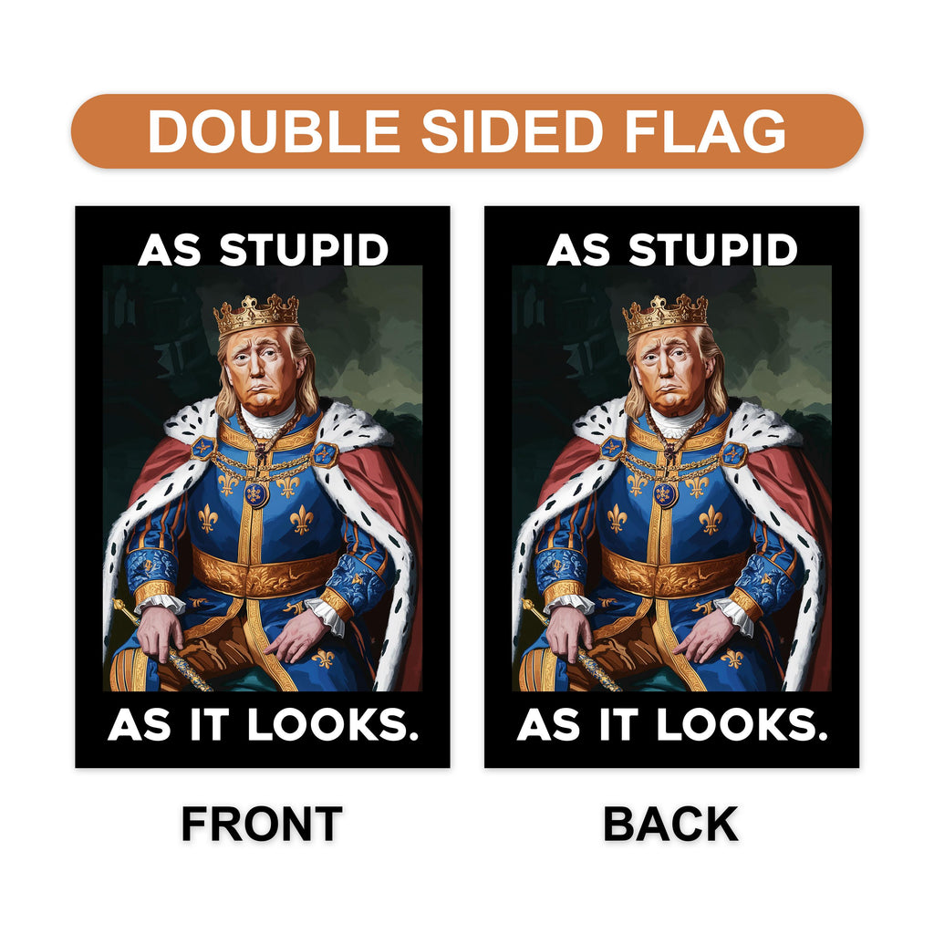 As Stupid As It Looks Garden Flag, 12x18 Inch Double Sided, Resist Hate Flag