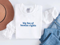Big Fan of Human Rights Embroidered Sweatshirt, Minimalist Hoodie, No Human Is Illegal Shirt, Empathy Long Sleeve Shirt, Decency Gift