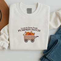 Pumpkin Patch Embroidered Sweatshirt, Fall Halloween Hoodie, Cozy Pumpkin Shirt, Autumn Long Sleeve Shirt, Cute Fall Aesthetic Gift