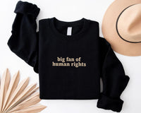 Big Fan of Human Rights Embroidered Sweatshirt, Minimalist Hoodie, No Human Is Illegal Shirt, Empathy Long Sleeve Shirt, Decency Gift