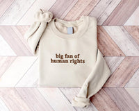 Big Fan of Human Rights Embroidered Sweatshirt, Minimalist Hoodie, No Human Is Illegal Shirt, Empathy Long Sleeve Shirt, Decency Gift