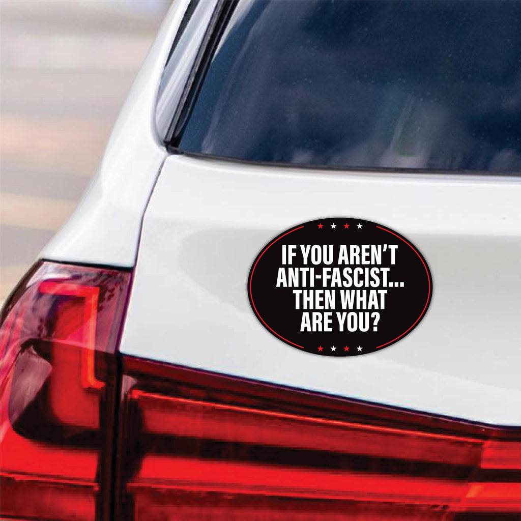 No Kings In America Magnet, Democracy Not Oligarchy Magnet, Anti-Trump, Resist Racism Car Magnet, Resist Fascism Vehicle Magnet, 6" x 4.5"