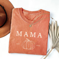 Pumpkin Birthday Family Shirt, Fall 1st Birthday Shirt, Our Little Pumpkin is One Tee