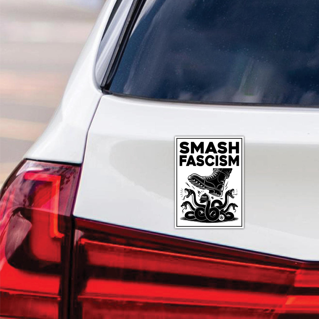 FIGHT FASCISM Magnet, No Kings In America Protest, Anti-Trump, Resist Racism Car Magnet, Resist Fascism Vehicle Magnet, 6" x 4.5"