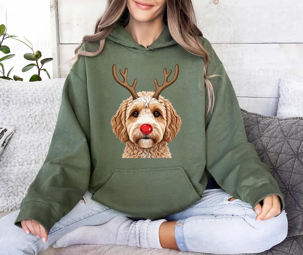 Christmas Dog Hoodie, Dog Owner Christmas Gift Shirt, Christmas Hoodie