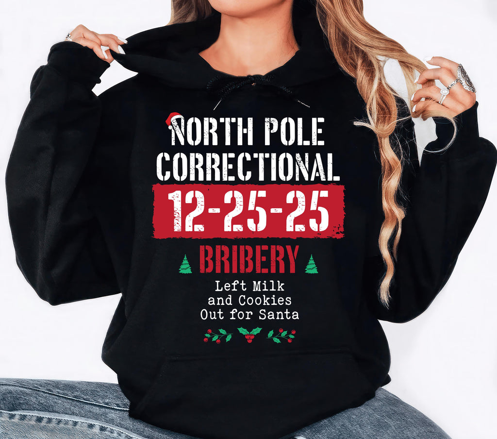 Custom North Pole Correctional Quotes Hoodie, Funny Family Matching Christmas Shirt, North Pole Correctional Hoodie