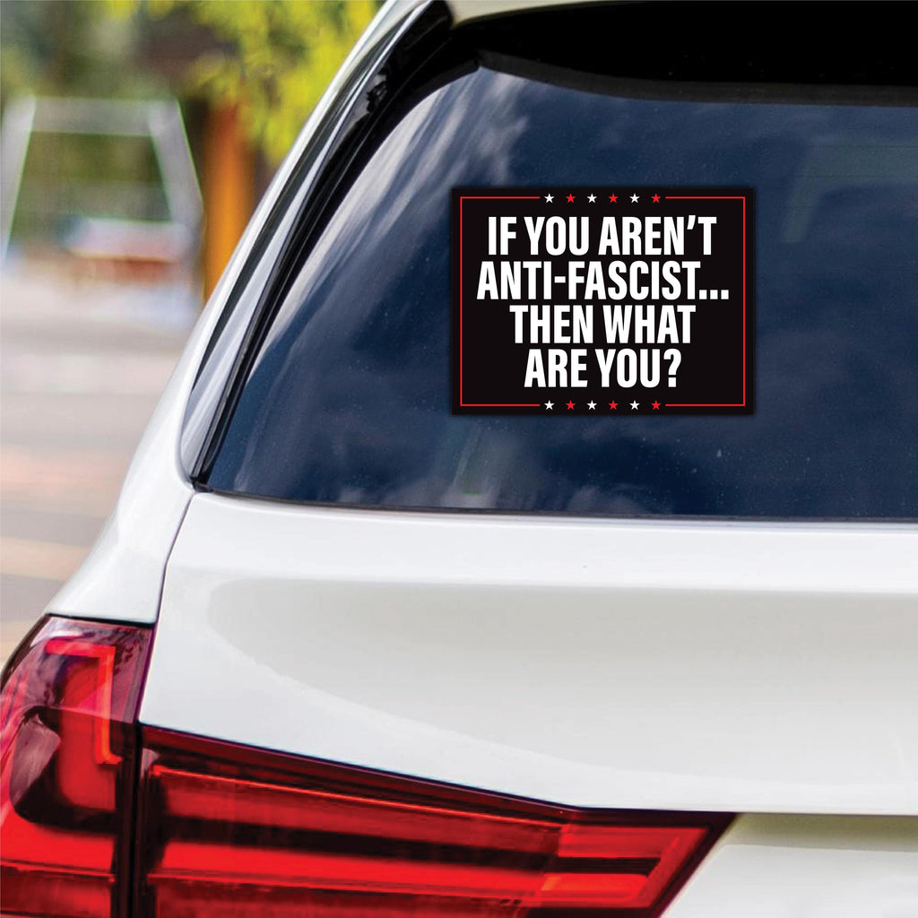 No Kings In America Vinyl Sticker, Democracy Not Oligarchy Decal, Anti-Trump, Resist Racis, Resist Fascism Car Bumper Sticker, 6" x 4.5"