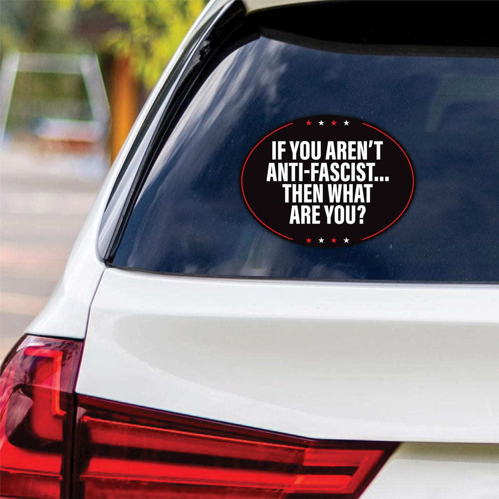 No Kings In America Vinyl Sticker, Democracy Not Oligarchy Decal, Anti-Trump, Resist Racis, Resist Fascism Car Bumper Sticker, 6" x 4.5"