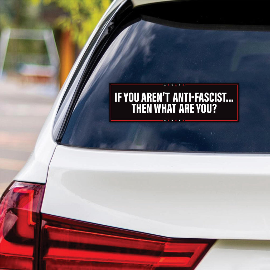 No Kings In America Vinyl Sticker, Democracy Not Oligarchy Decal, Anti-Trump, Resist Racis, Resist Fascism Car Bumper Sticker, 10" x 3"