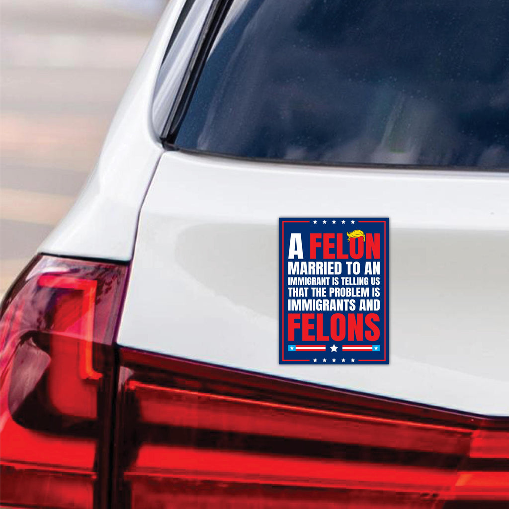 FIGHT FASCISM Magnet, No Kings In America Protest, Anti-Trump, Resist Racism Car Magnet, Resist Fascism Vehicle Magnet, 6" x 4.5"