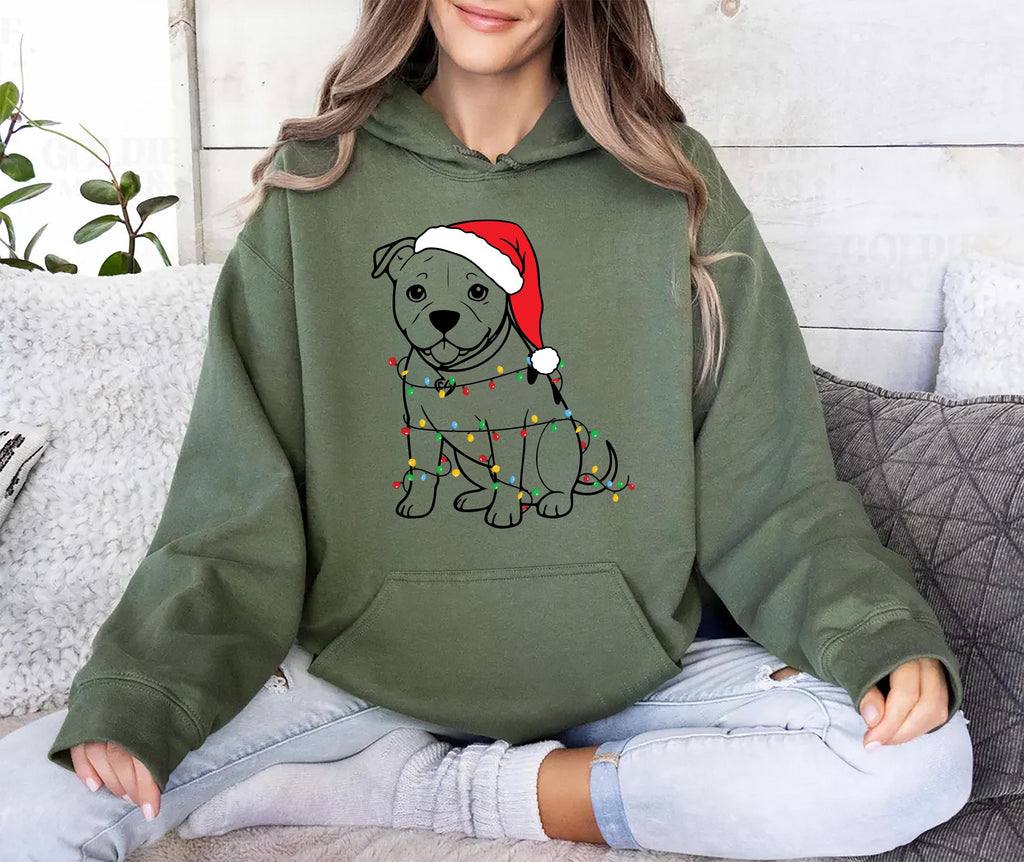 Cute Christmas Dog Hoodie, Pitbull Holiday Shirt, Family Xmas Hoodie