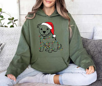 Cute Christmas Dog Hoodie, Pitbull Holiday Shirt, Family Xmas Hoodie