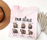 Nurse Pain Scale Pain Assessment Shirt, Funny Nurse Shirt, Nurse Crewneck Tee