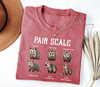 Nurse Pain Scale Pain Assessment Shirt, Funny Nurse Shirt, Nurse Crewneck Tee