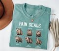 Nurse Pain Scale Pain Assessment Shirt, Funny Nurse Shirt, Nurse Crewneck Tee