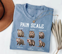 Nurse Pain Scale Pain Assessment Shirt, Funny Nurse Shirt, Nurse Crewneck Tee