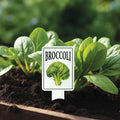 Vegetable Garden Stake, UV Printed Aluminum Plant Marker, Metal Veggie Label for Garden Beds, Outdoor Waterproof Plant Tag, Custom Yard Sign