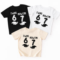 I Was 6 Now I'm 7 Shirt, Funny 7th Birthday Tee, 6 Turning 7 Birthday Shirt, Viral 6 7 Meme Birthday Top, Kids Birthday Party Shirt