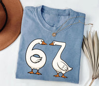 Funny 67 Goose Shirt, Silly Brain Rot Teacher Shirt, Goose Brainrot Tee