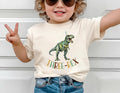 Three Rex Birthday Shirt, Dinosaur Family Matching Shirt, 3rd Birthday Dino Tee