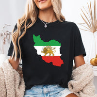 Lion & Sun Iran Flag Shirt, Persian Heritage Shirt, Iranian Pride Tee, Classic Lion and Sun Shirt