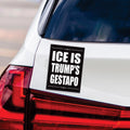 Abolish ICE Magnet, Keep the Immigrants, Deport the Racists, Anti-Trump, Resist Racism Car Magnet, Resist Fascism Vehicle Magnet, 6