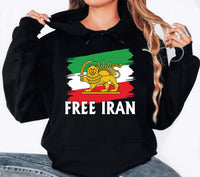 Lion & Sun Iran Flag Shirt, Persian Heritage Shirt, Iranian Pride Tee, Classic Lion and Sun Shirt, Unisex Persia Shirt, Gifts for Iranians