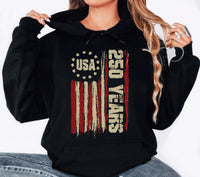 250 Anniversary USA Shirt, America 250 Celebration Shirt, Patriotic USA Tee, Independence Anniversary Shirt, Unisex America Shirt