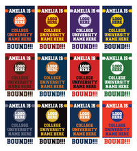 Personalized College Graduation Garden Flag, Double-Sided Custom School, University Logo, Class of 2026 Yard Sign, Graduate Celebration Flag