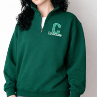 Custom Team Embroidered Quarter Zip Sweatshirt, Personalized School Mascot Pullover, Sports Team Spirit Wear Gift Apparel