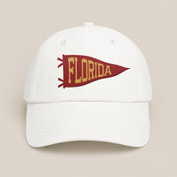 Personalized Texas Game Day Embroidered Hat, Texas Fan Custom Text Cap, Low Profile Dad Hat, College Football Fan Gift, Game Day Gift