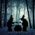 Black Witches Silhouette Yard Sign Cutouts
